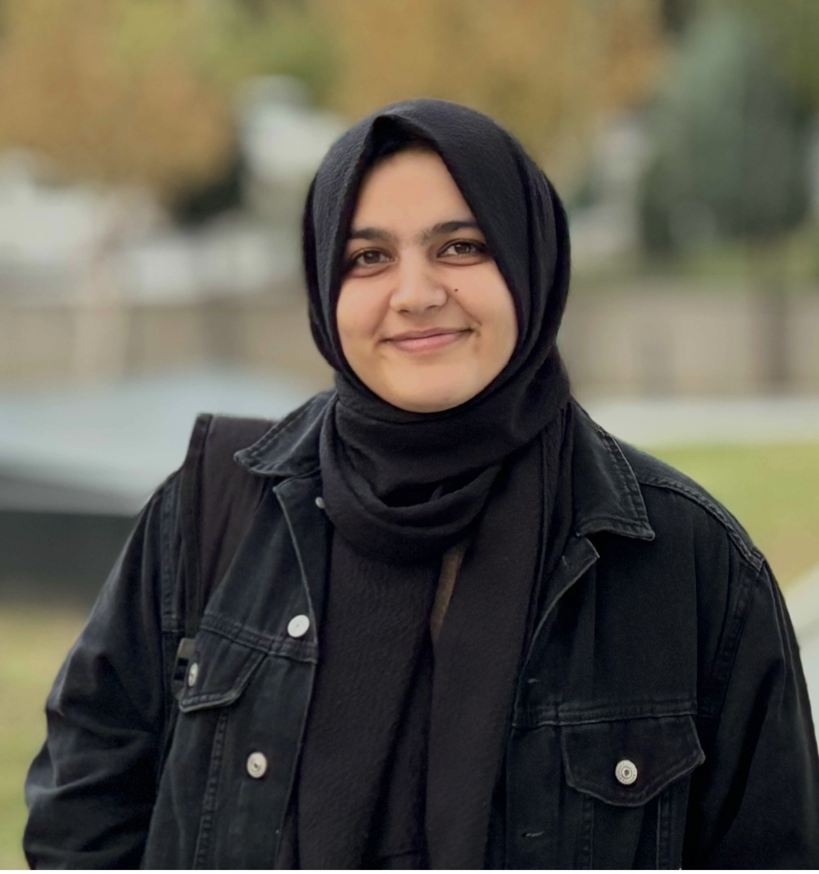 Rabeeah Chishti, Website Architect from India